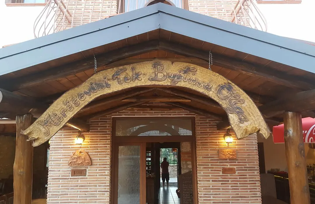 Hotel Bujtina Ollga-1