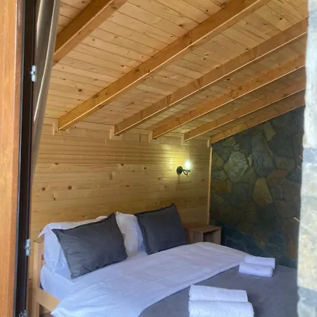 Bujtina Arturi-2