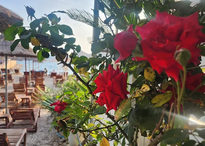 Amelie'S Apartments & Beach Saranda