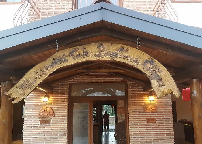 Hotel Bujtina Ollga Tushemisht